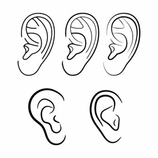 耳朵图标