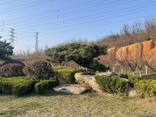 园林小径绿植环绕景致美