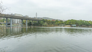 河畔桥梁与静谧湖水景观