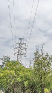 高压输电塔与葱郁树林