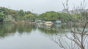 宁静湖畔风景