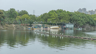 湖畔风光 静谧湖水船只