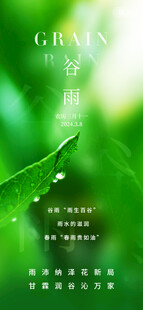 清新绿植自然绿意蔓延