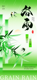 谷雨时节竹影摇曳