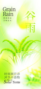 清新谷雨节气绿植画面