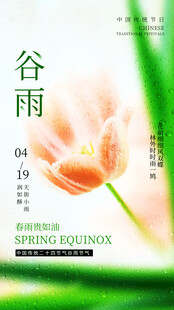 谷雨时节绽放的娇艳花朵