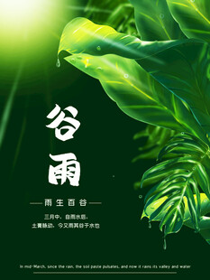 谷雨时节绿意盎然的自然
