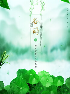 春日荷塘绿意清新画面