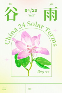 谷雨时节玉兰花绽放
