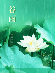 谷雨时节的清新白莲花
