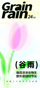 谷雨时节的粉嫩郁金香