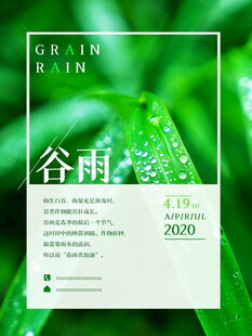 谷雨节气宣传海报