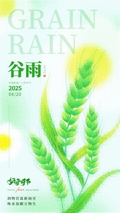 谷雨时节麦穗插画
