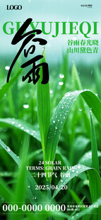 清新绿叶上的晶莹晨露