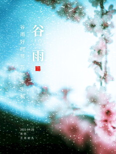谷雨时节的烂漫春花