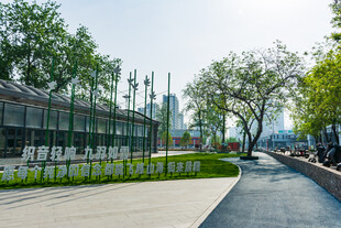 城市中的静谧步道景观