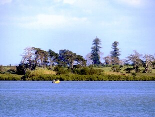 奥克兰海边风景