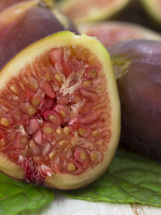 无花果