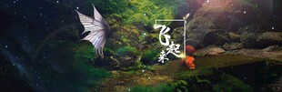 奇幻森林中的神秘飞行生物