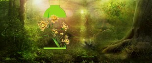 森林中的奇幻蘑菇小屋