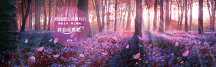 梦幻森林的浪漫光影世界