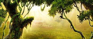 森林中的奇幻老树景观