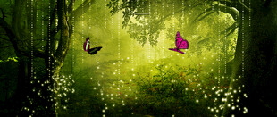 梦幻森林中的奇幻场景