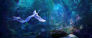 梦幻海底的灵动飞鱼