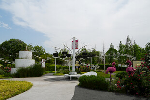 美丽公园景观