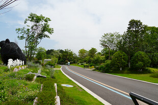 乡村蜿蜒公路旁绿意盎然