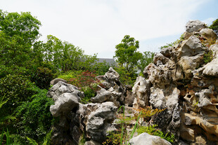 嶙峋山石与葱郁绿植景观