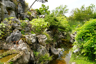 中式园林假山绿植景观