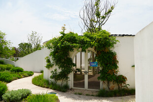 庭院绿植环绕的雅致小屋