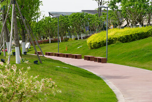 城市中绿意盎然的休闲步道