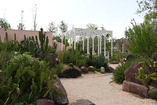 花园小径 绿植环绕景致美