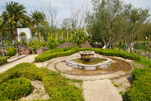 花园中的精致喷泉景观