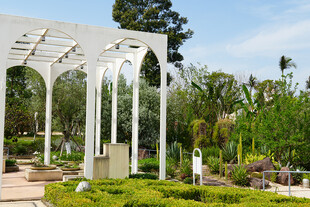 白色凉亭下的花园景致