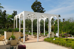 花园中的白色拱形花架