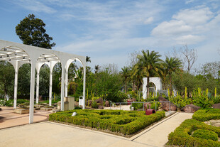 优雅园林景观中的白色凉亭