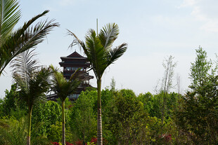 园林景观中的古亭与绿植