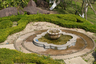 花园中的精致喷泉景观