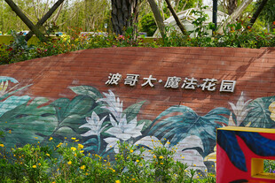 昆明大观楼莲花池景