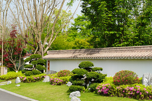 中式园林景观雅致一角