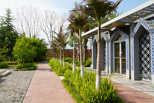 庭院景观中的绿植与建筑