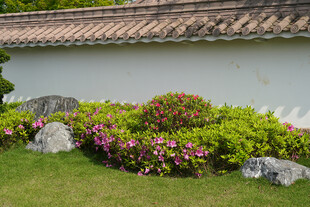 墙边花草与石景景观