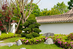 中式庭院景观 绿意盎然