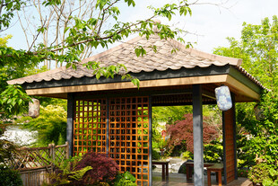 中式庭院凉亭景观