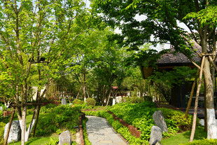 静谧园林小径 绿意盎然