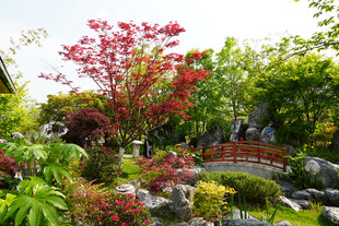 日式庭院中的多彩景致