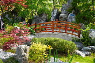 日式园林中的红桥景致